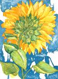 Sunflower no. 1-Richard C^ Karwoski-Framed Limited Edition