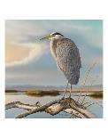 Marsh Watch - Great Blue Heron-Richard Clifton-Art Print