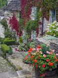 Ivy Covered Cottage, Town of Borris, County Carlow, Leinster, Republic of Ireland, Europe-Richard Cummins-Framed Photographic Print