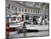 Photographic Print
