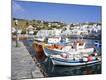Premium Photographic Print