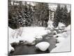 Photographic Print