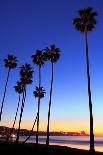 La Jolla, San Diego, California, United States of America, North America-Richard Cummins-Photographic Print