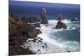 Photographic Print