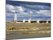 Premium Photographic Print