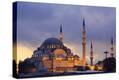 Stretched Canvas Print