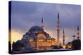 Stretched Canvas Print