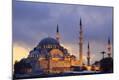 Photographic Print
