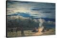 Stretched Canvas Print