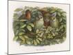 Premium Giclee Print