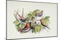 Giclee Print