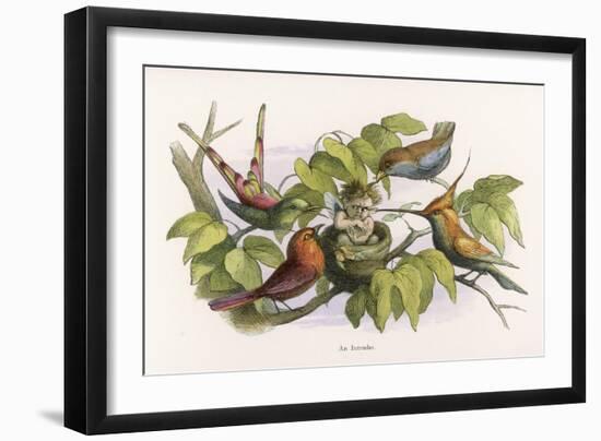 Art Print, , large