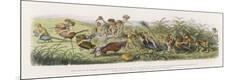 Premium Giclee Print