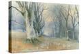 Stretched Canvas Print