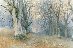 Fairy Dance in a Clearing-Richard Doyle-Giclee Print