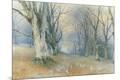 Premium Giclee Print