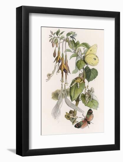 Photographic Print, , large