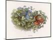 Premium Giclee Print