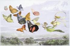 Feasting and Fun Among the Fuchsias, Fairies and Elves are Visited by Butterflies-Richard Doyle-Photographic Print