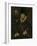 Richard Drake, 1535-1603, C.1577 (Painting)-George Gower-Framed Giclee Print