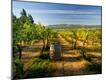 Premium Photographic Print