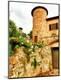Premium Photographic Print