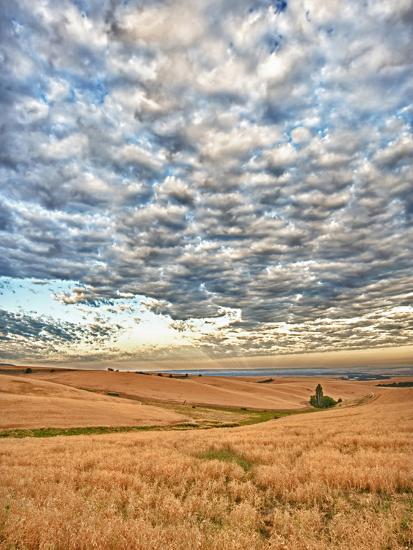 Premium Photographic Print, , large