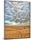 Premium Photographic Print