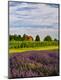 Premium Photographic Print