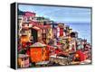 Framed Canvas Print