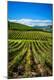 Premium Photographic Print
