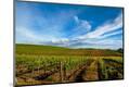Premium Photographic Print