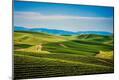 Photographic Print