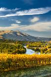 Washington State, Lyle. Mt. Hood Seen from a Vineyard Along the Columbia River Gorge-Richard Duval-Photographic Print