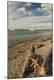 Premium Photographic Print