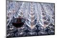 Premium Photographic Print
