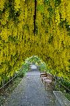 Barrel Cave, Red Mountain Ava, Eastern Yakima Valley, Washington, USA-Richard Duval-Photographic Print