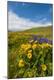 Premium Photographic Print