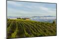 Premium Photographic Print