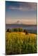 Premium Photographic Print