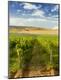 Premium Photographic Print