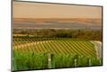 Premium Photographic Print