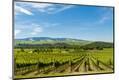 Premium Photographic Print