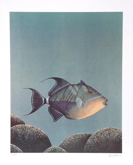 Limited Edition, , large
