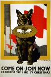 Red Cross Poster, 1917-Richard Fayerweather Babcock-Premier Image Canvas