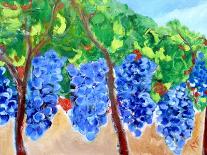 Grapes on the Vine, 2017, (oil on canvas)-Richard Fox-Giclee Print