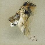 A Lion's Head-Richard Friese-Premier Image Canvas