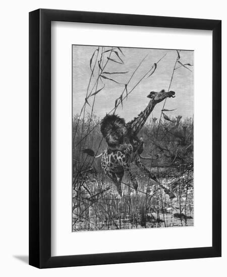 Art Print, , large