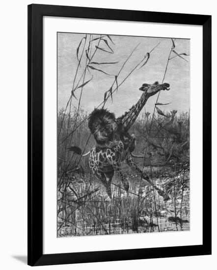 Art Print, , large