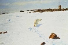 Polar Bear in an Arctic Landscape, 1899-Richard Friese-Giclee Print